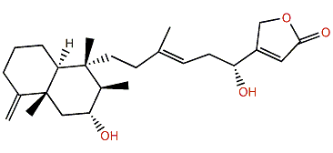 Thorectandrol E